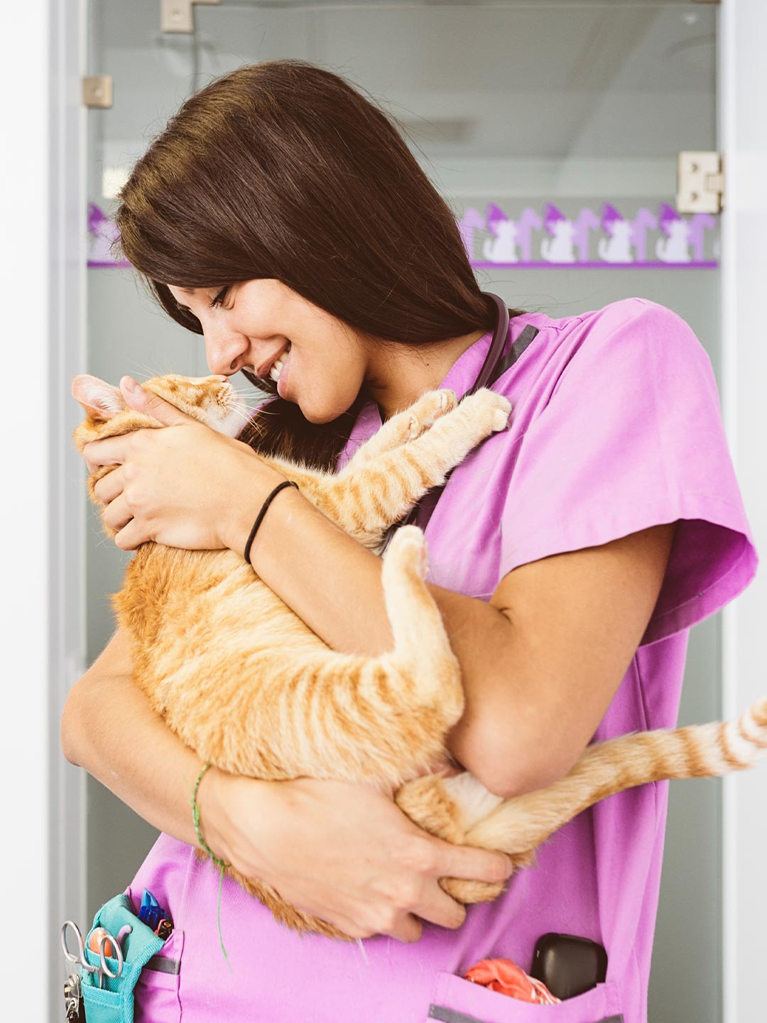happy female veterinarian snuggling orange tabby cat and nuzzling nose to nose happy female veterinarian snuggling orange tabby cat and nuzzling nose to nose