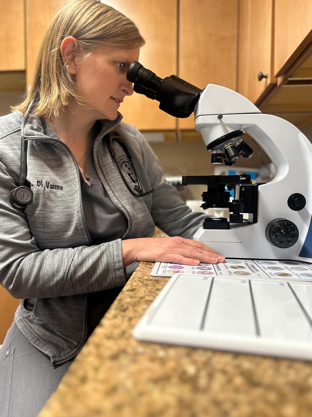 female veterinarian looking at specimen through microscope female veterinarian looking at specimen through microscope