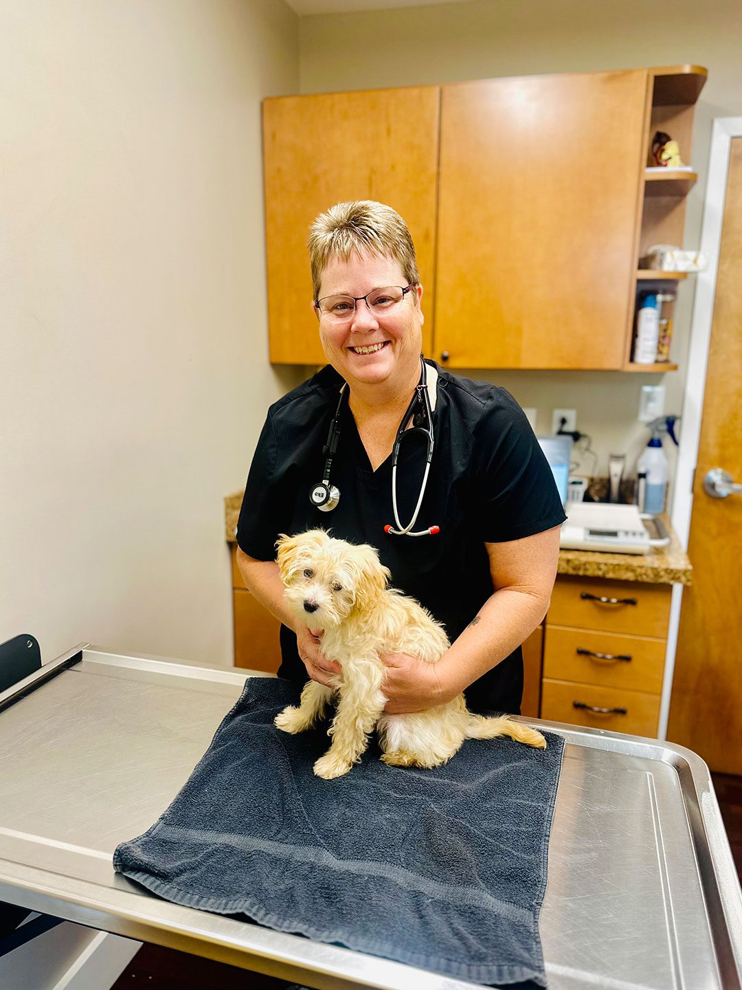 female veterinarian smiling and holding small fluffy dog female veterinarian smiling and holding small fluffy dog