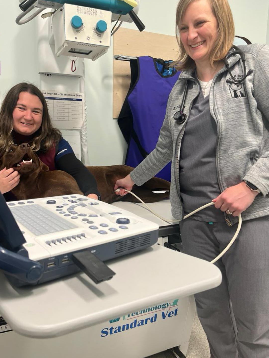 female staff members performing abdominal ultrasound on large brown dog female staff members performing abdominal ultrasound on large brown dog